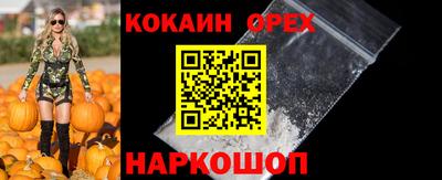 прущие грибы Севастополь