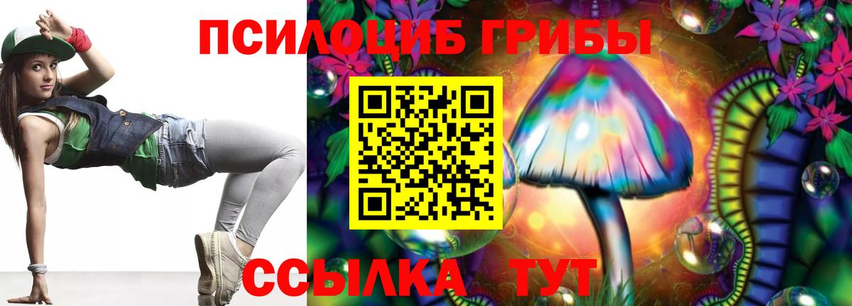 купить наркоту  Псилоцибиновые грибы MAGIC MUSHROOMS  Вход с VPN  Шадринск 